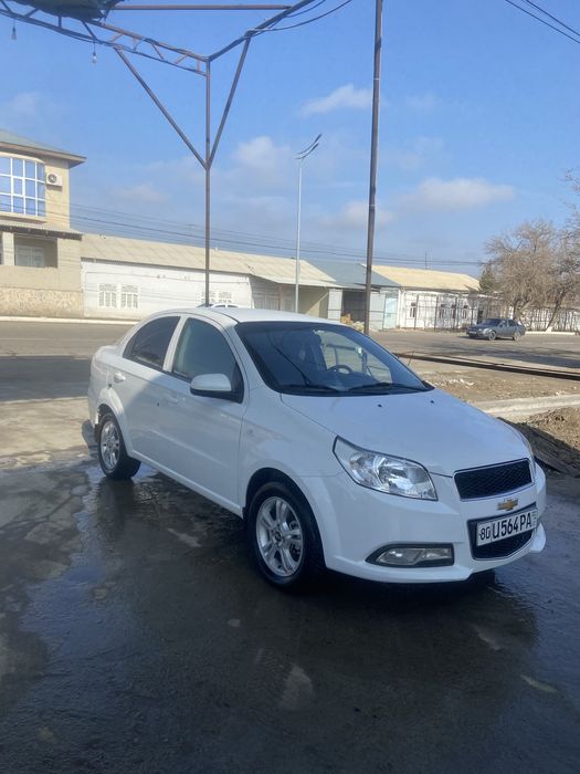 Мошина идеалный