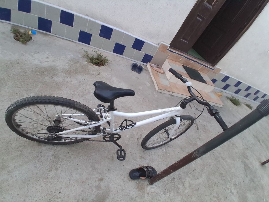 Bicicleta raivaloso