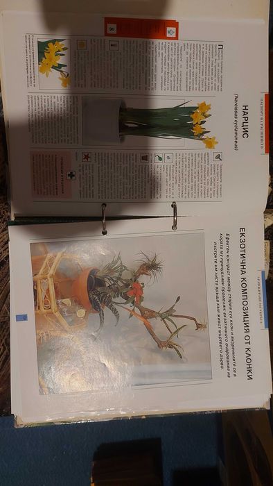 Зелен дом списание