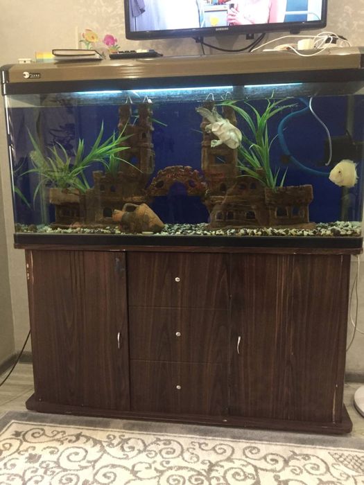 Аквариум 370 литров