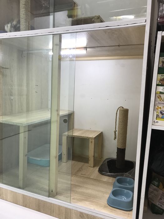 Передершка жыводных