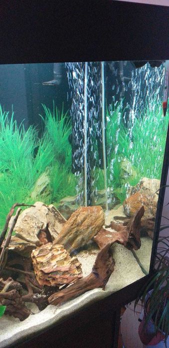 Pompa aer Tetra APS 400 cu furtun diffuzor si aerare, piatra aerare