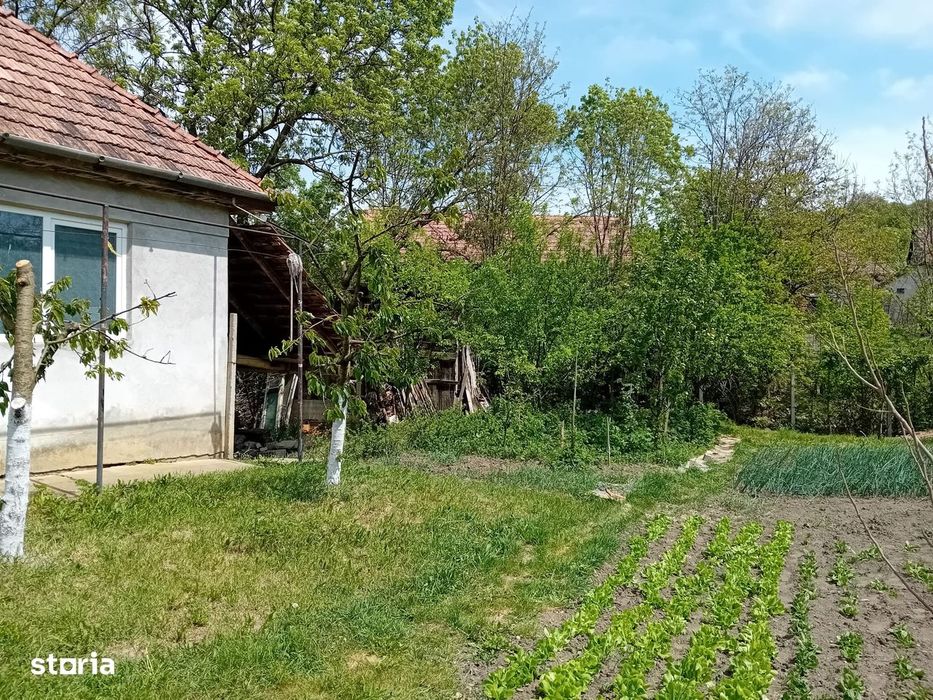 Casă de vânzare în satul Cornești, comuna Acățari – 84.000 €