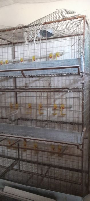 Продам клетки для птицы,питомника и тд