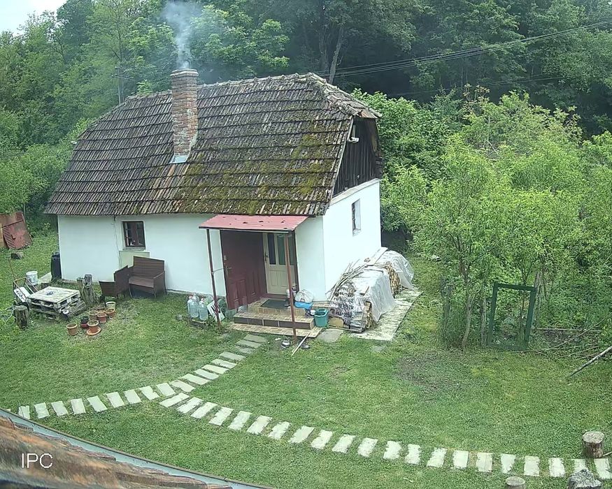 2 case, 7500mp, Batuța, Arad