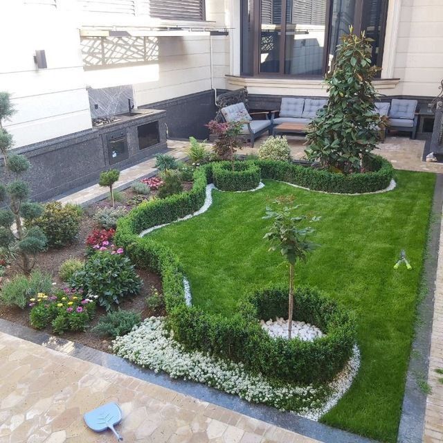 Газон, ландшафтный дизайн, декаративный Дарахтлар,Газон ва Арча уход