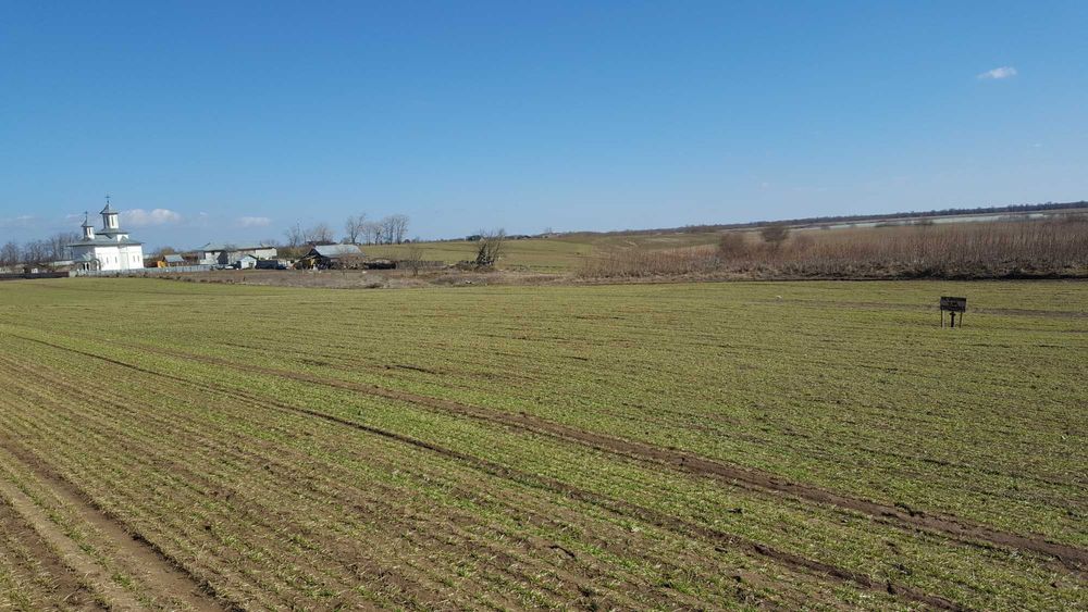 Teren în Deltă–locație excelentă pentru dezvoltare turistică