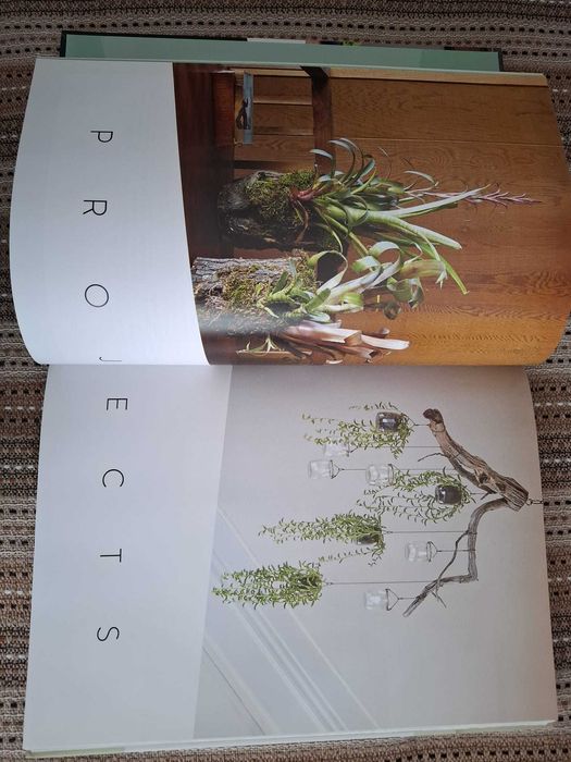 Carte Handmade Hobby - Plant Craft