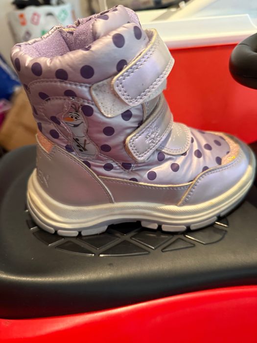 Апрески леденото кралство