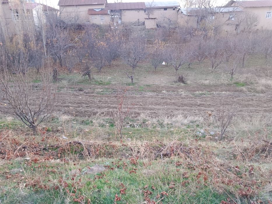 Yer sotiladi yaxshi narxda