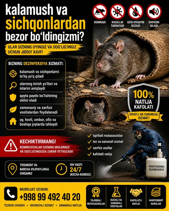 Dezinfeksiya kalamush Dezinfeksiya sichqon