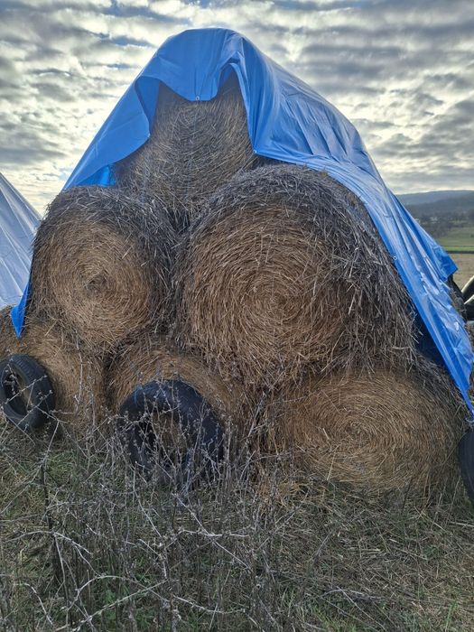 Baloti din paie de grau