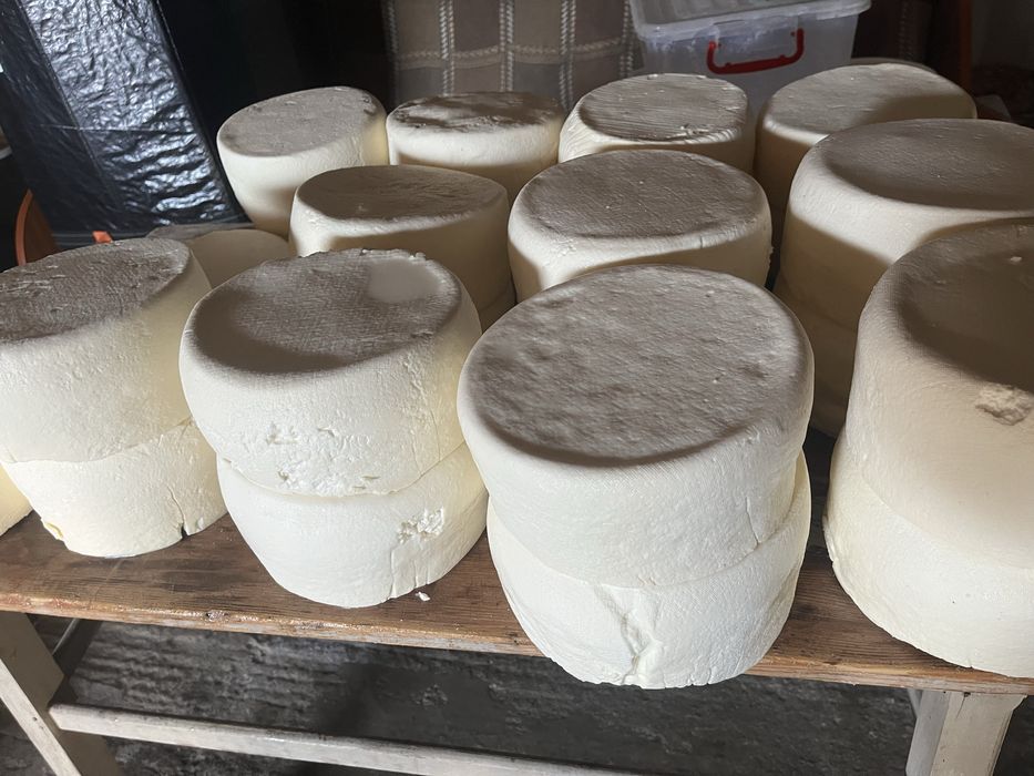 Branza de vaca semi sarata