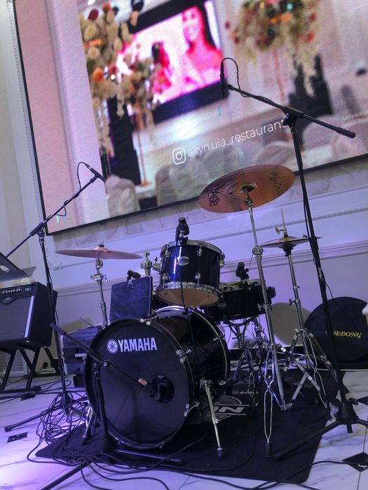 Бэклайн(Backline) Аренда