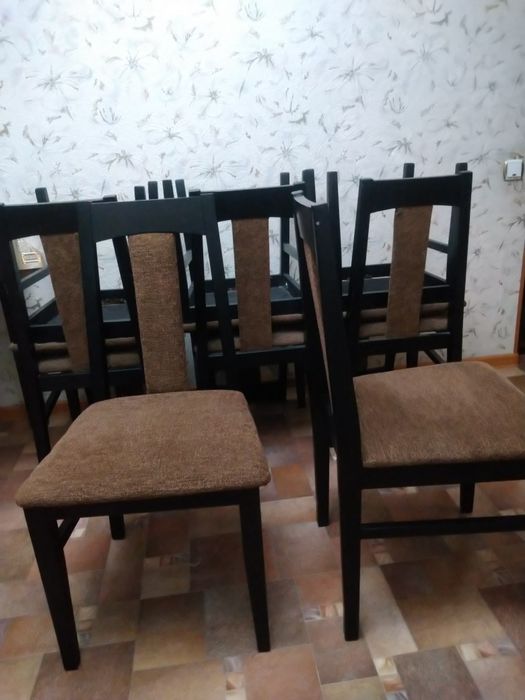 Стол и стулья 10 шт.