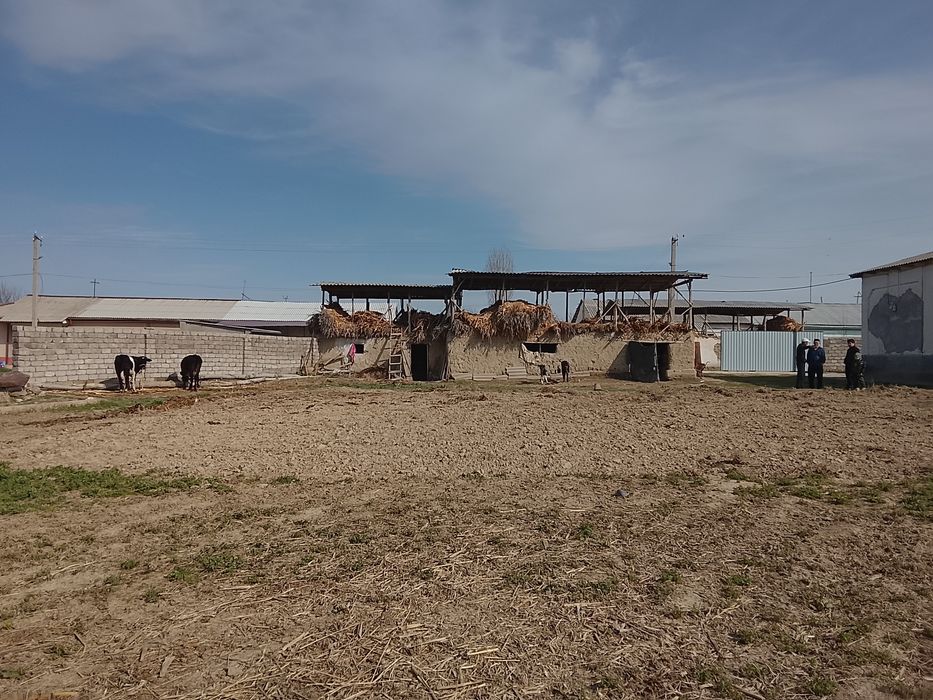 18 сотих йер учаскамиз сотувга чикти