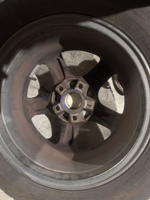 Vand genti vw  pe 15
