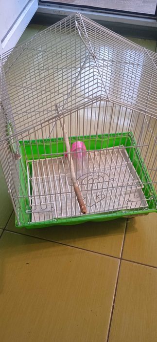 Клетка для попугаев