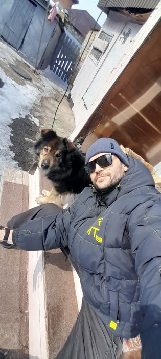 Отдам Собаку добрые руки