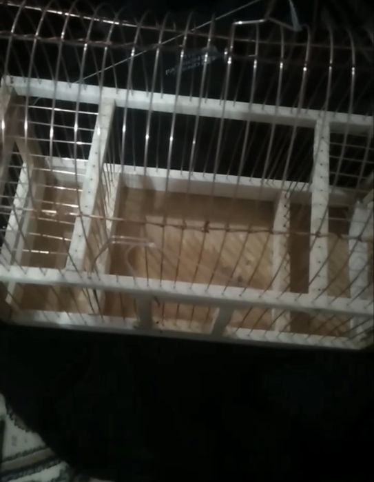 Клетки на ловли птиц