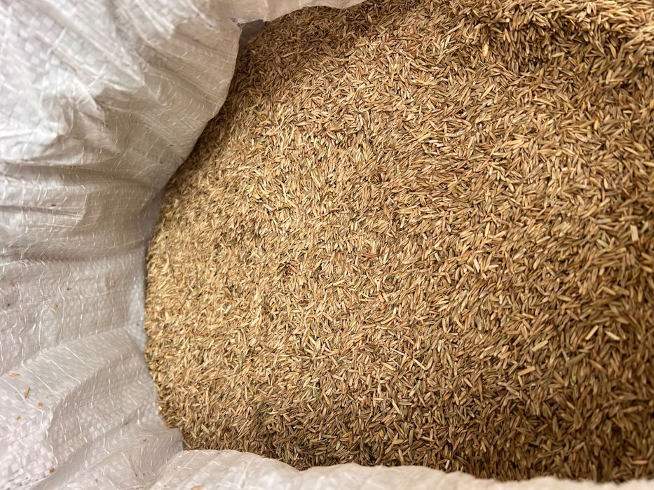 Samanta iarba (lolium) de vanzare,mustar,mazariche,trifoi,lucerna,etc