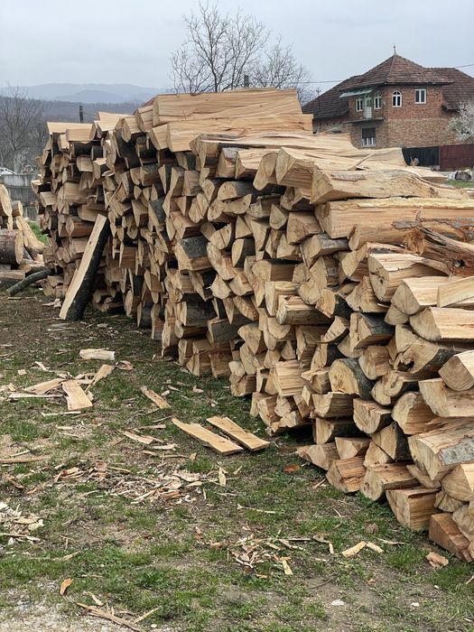 ‼️Vindem lemne de foc [Fag,Gorun,Carpen,Cer] la cel mai bun preț