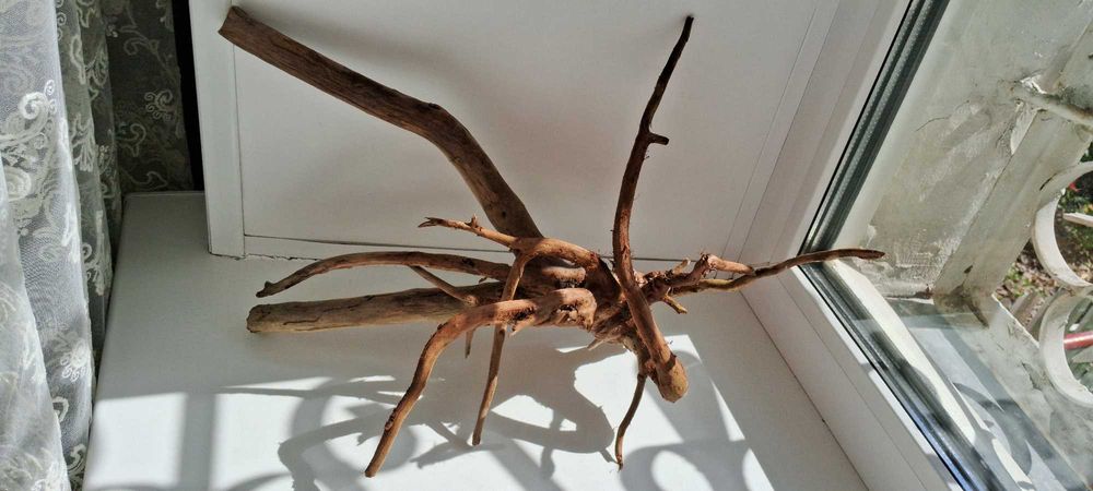 Коряга в аквариум