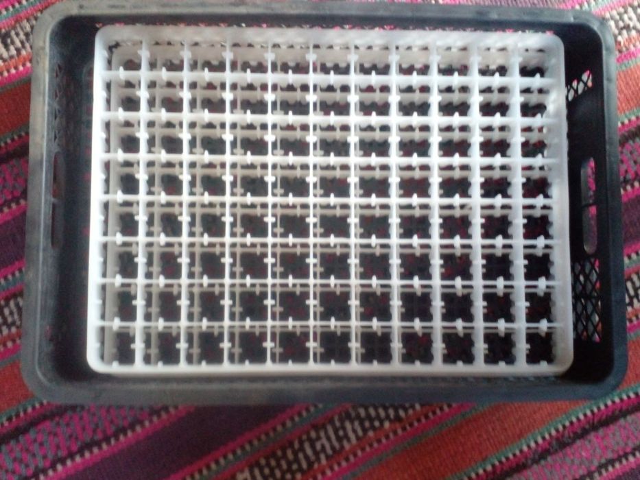 Inkubator sotiladi.