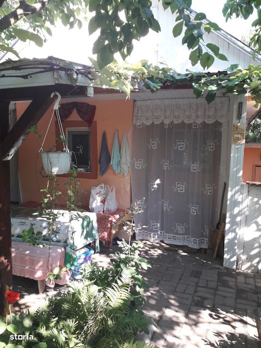 Vând grădină în Târgu Frumos