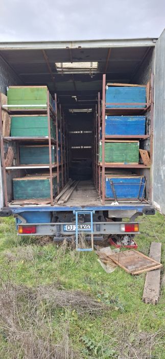 Schimb camion apicol