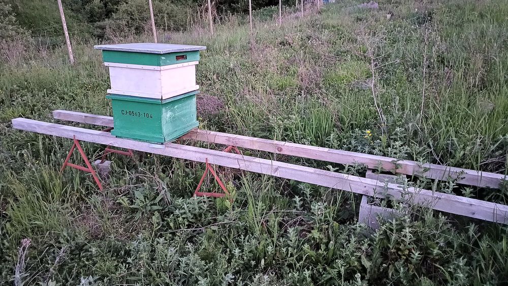 Lăzi albine, stupi, 10 rame