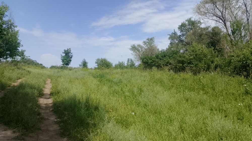 Продам земля поселок белбулак