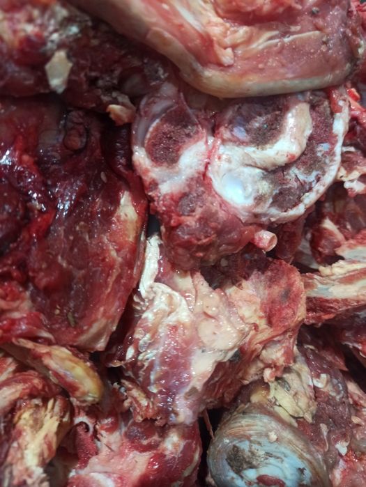 Для собачек косточки говядины.