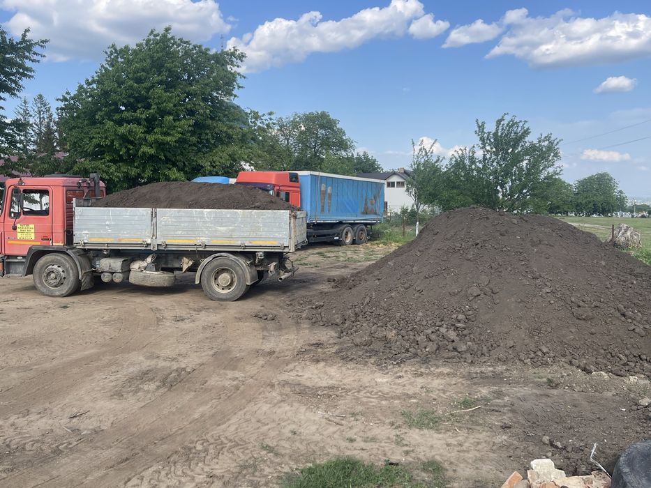 Pamant negru pentru gazon/sera