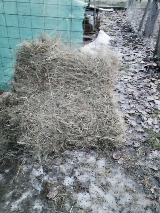 Baloți de paie de grau și fin