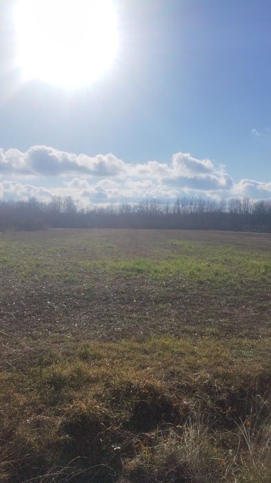 Vind 6700m teren intravilan