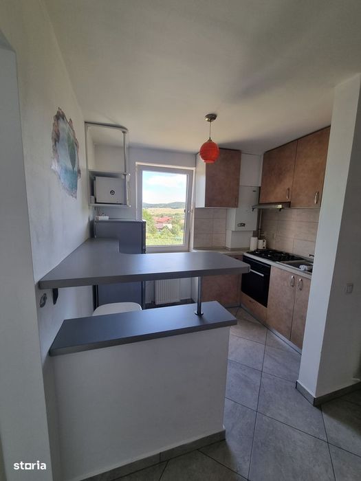 Apartament pet friendly  cu o camera si parcare