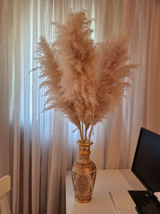 Продам букет (пампасная трава )