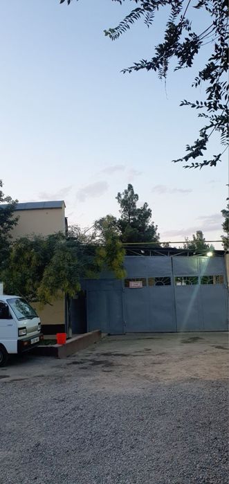 Здание 30 соток Кара камыш сзади птица базара