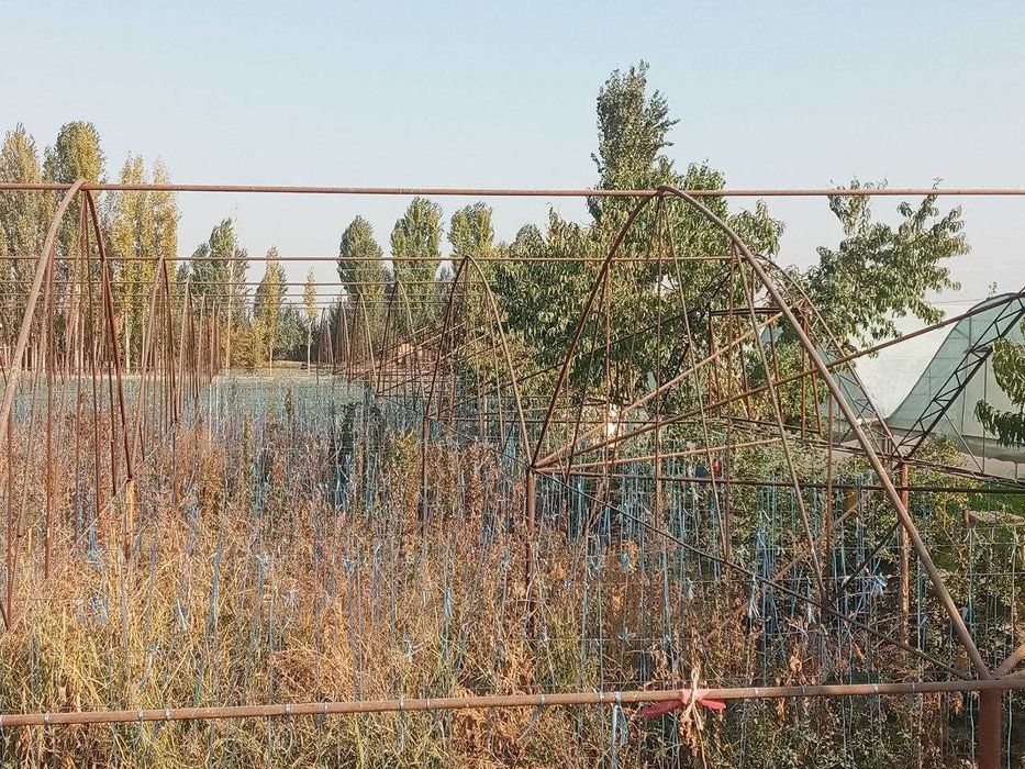 Диккат TЕПЛИЦА срочно сотилади