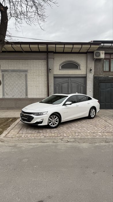 Malibu primer holati alo