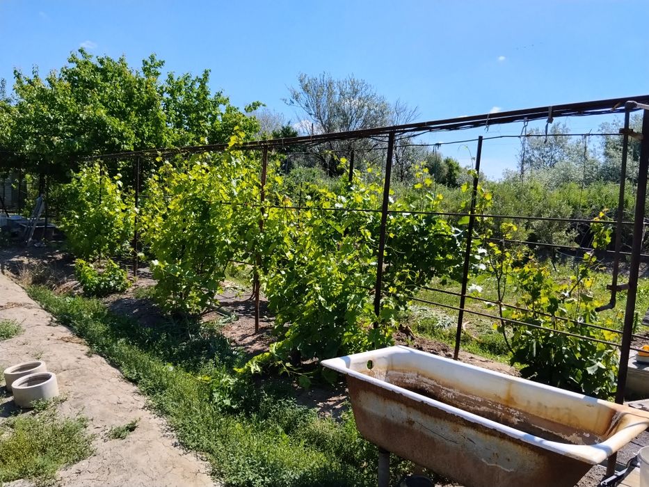 Продам дачу на Ягодке