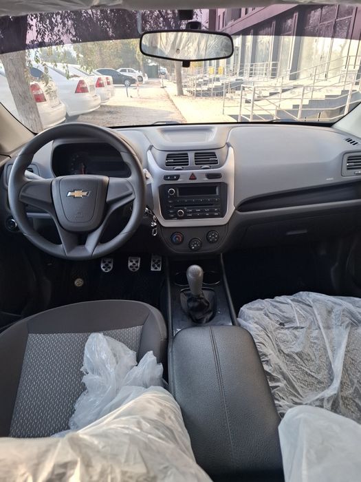 Кобилт 2019 йил радной краска