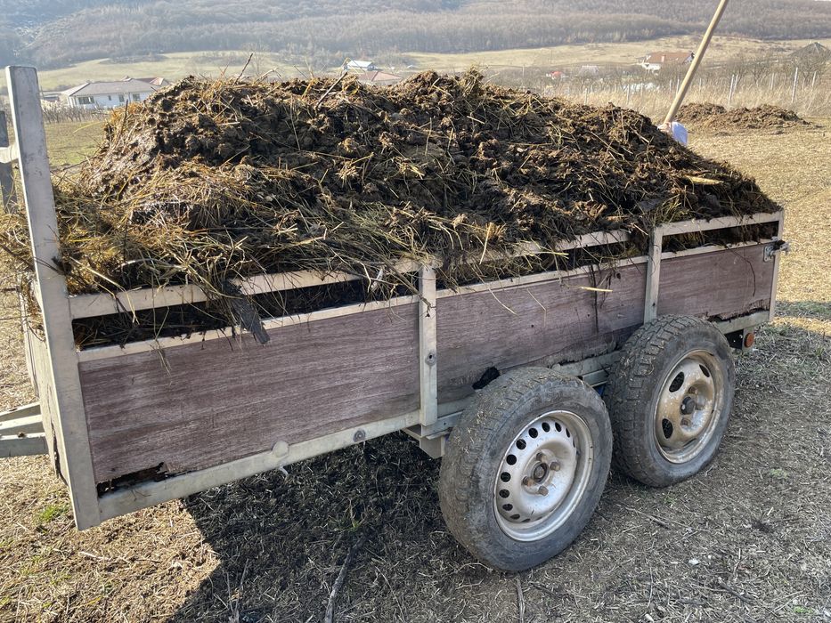 Vînd balegar pentru gradina .