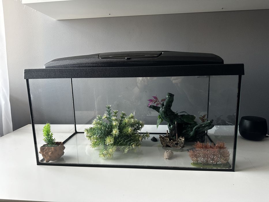 Acvariu aquael clasic de 54 L