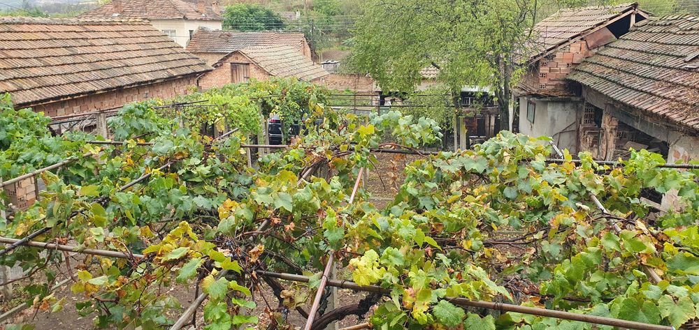 Продава се Къща в с. Бръшляница, Област Плевен - 100 кв.м за 281 €/кв.м - Снимка #4