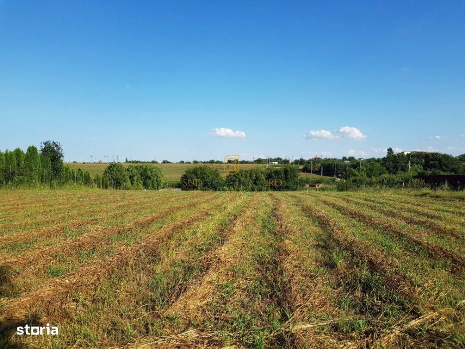 Teren intravilan – Adunatii Copaceni | 3.399 mp | Ideal investitie