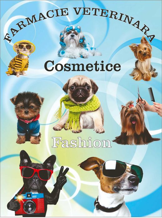 Colantare geamuri magazine si birouri