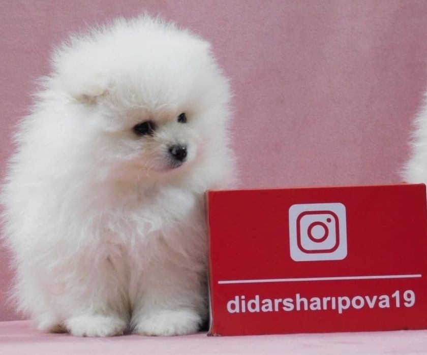 Мальчики и девочки Выввв