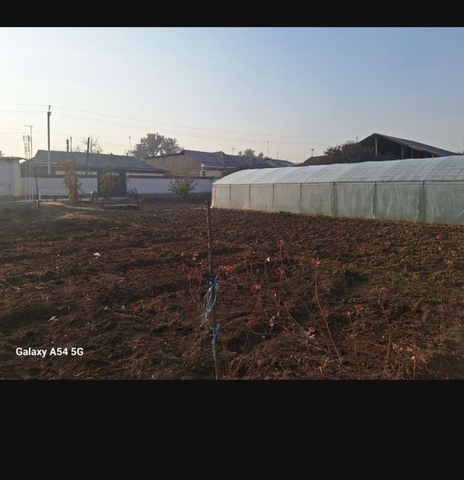 Ер сотилади 8 сотих Янгиюль